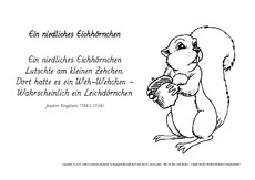 M-Ein-niedliches-Eichhörnchen-Ringelnatz.pdf